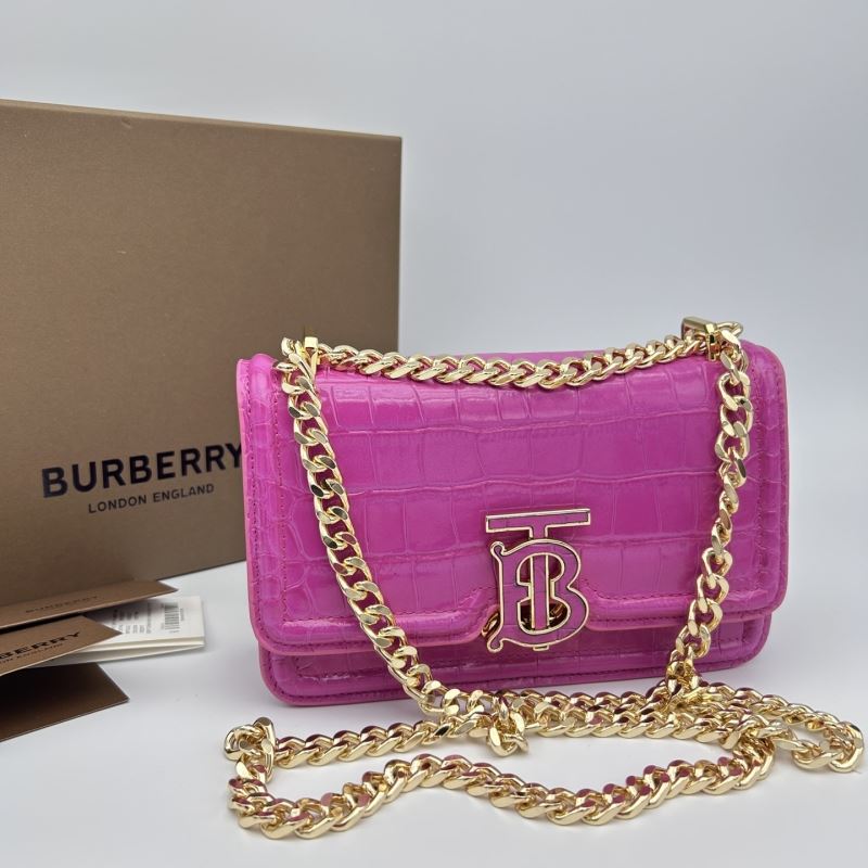 B**rry satchel bags